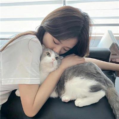 柴堆猫班卓